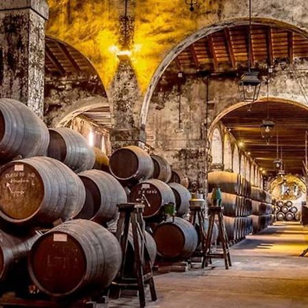 Apartamento Manzil En El Centro De Jerez De La F. Lägenhet Jerez de la Frontera Exteriör bild